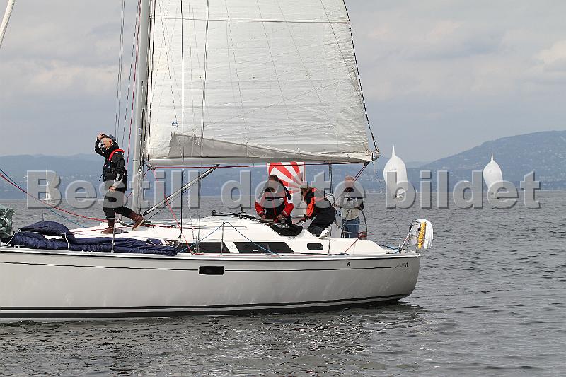 Bundefjorden2012 223.jpg